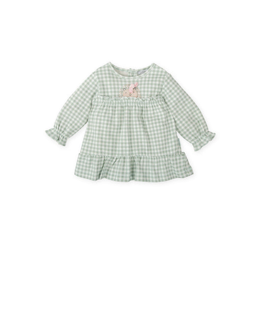 Sage Gingham Baby Dress with Lion Applique - Soft Cotton