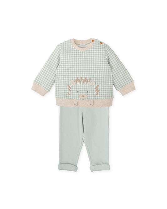 Green Gingham Baby Outfit Set with Embroidered Hedgehog Detail