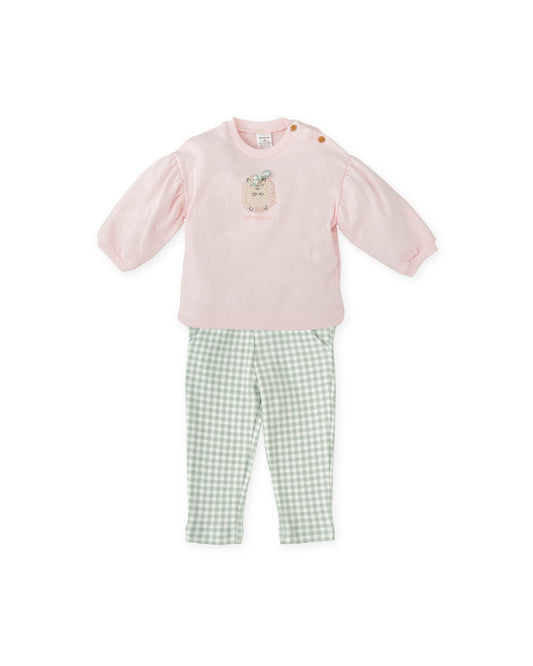 Charming Pink & Gingham Two-Piece Baby Girl Set
