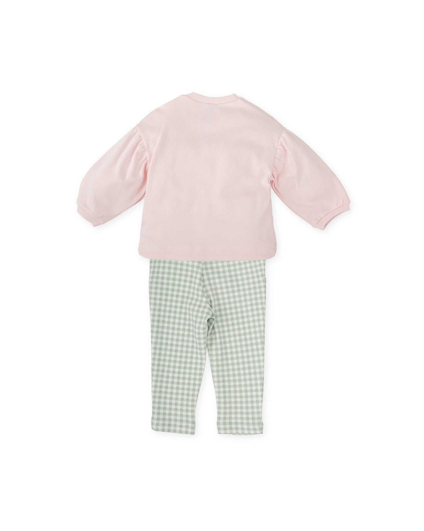 Charming Pink & Gingham Two-Piece Baby Girl Set