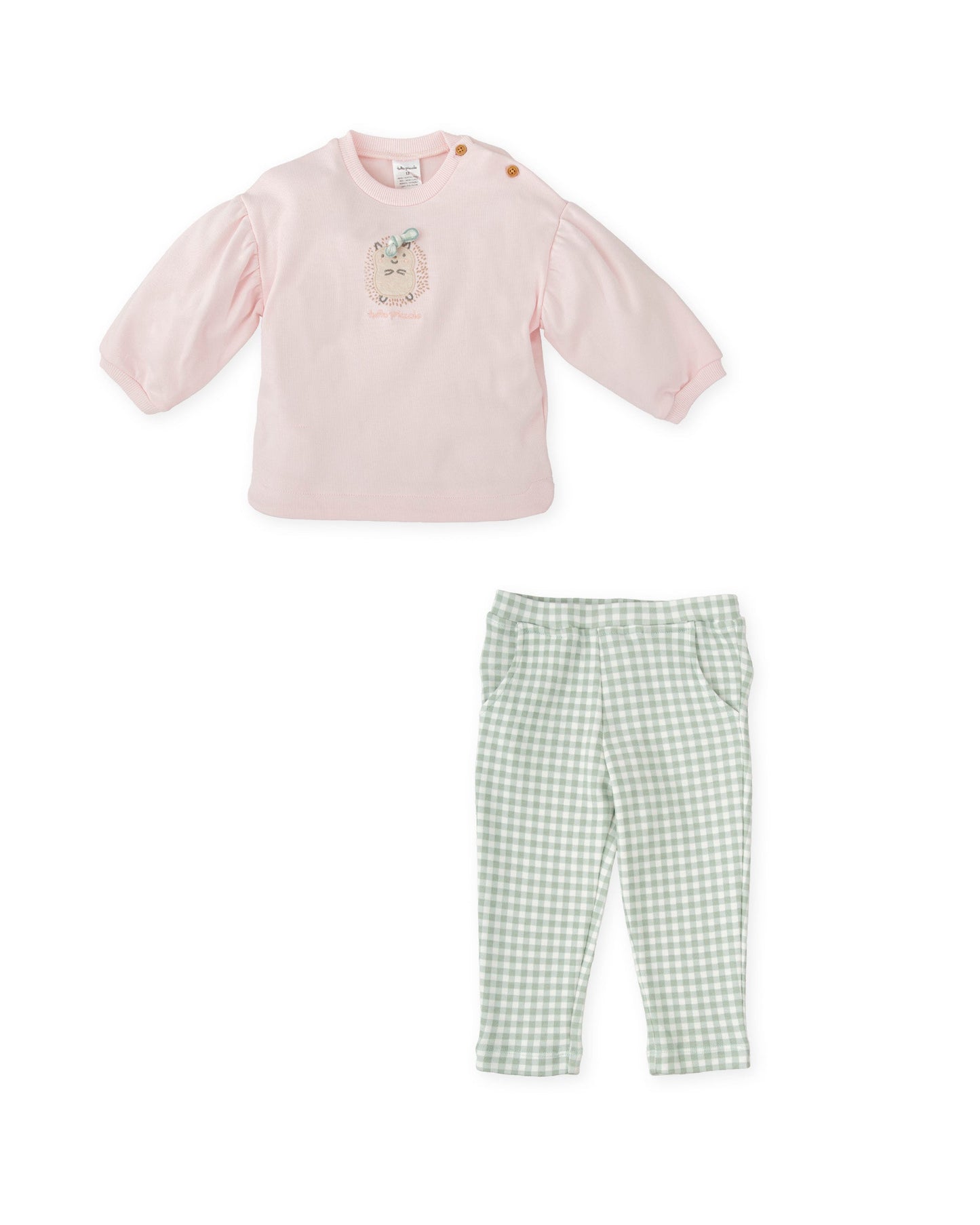 Charming Pink & Gingham Two-Piece Baby Girl Set