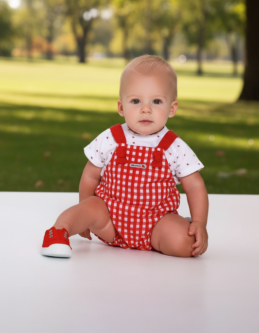 Charming Red Checkered Overalls & Snail Print T-Shirt Set