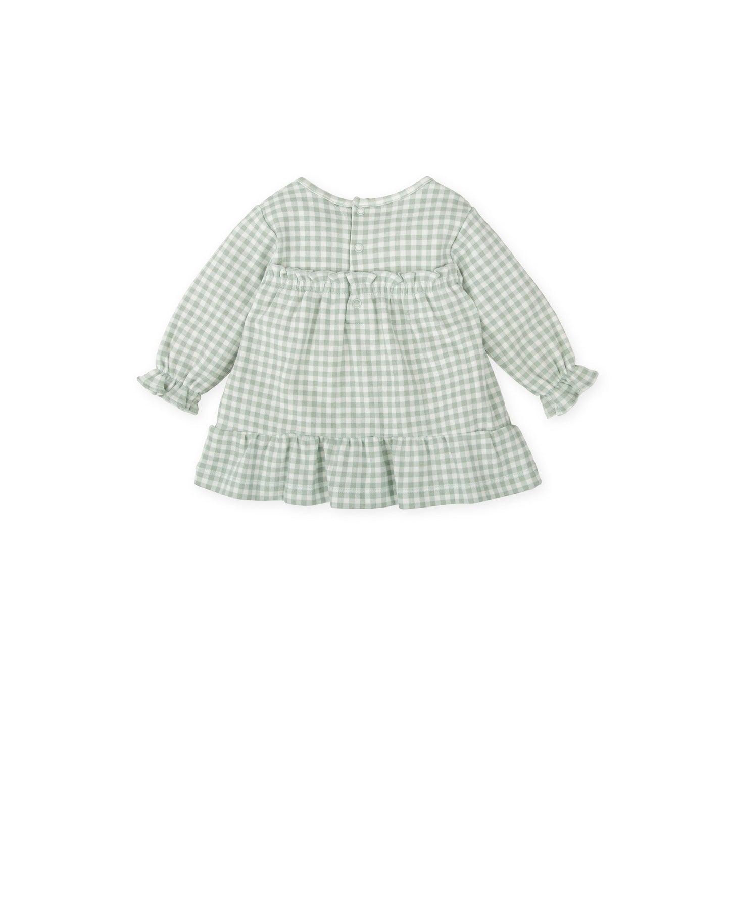 Sage Gingham Baby Dress with Lion Applique - Soft Cotton