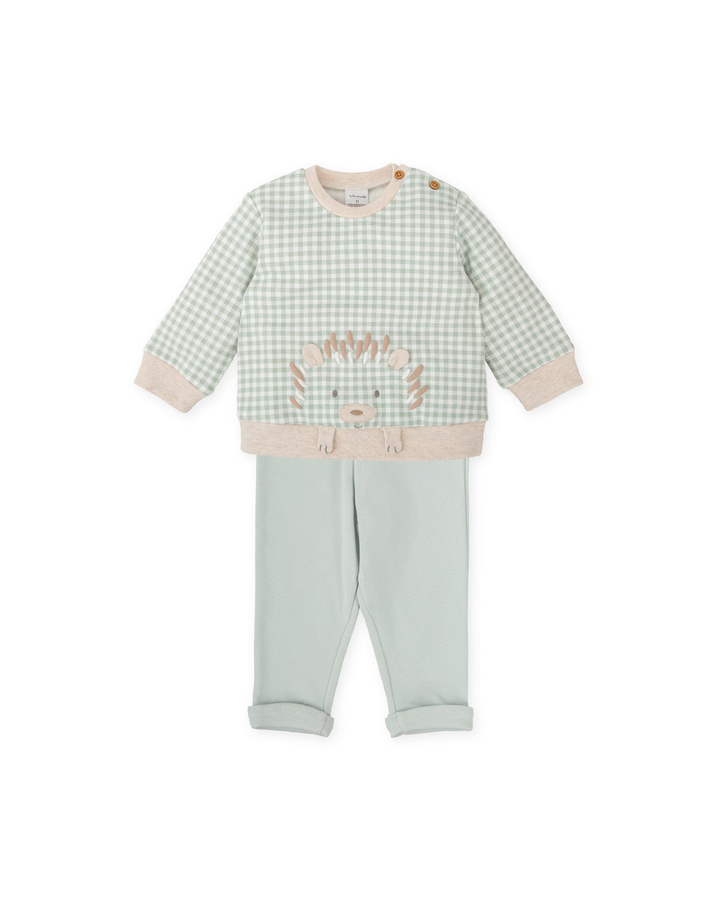 Green Gingham Baby Outfit Set with Embroidered Hedgehog Detail