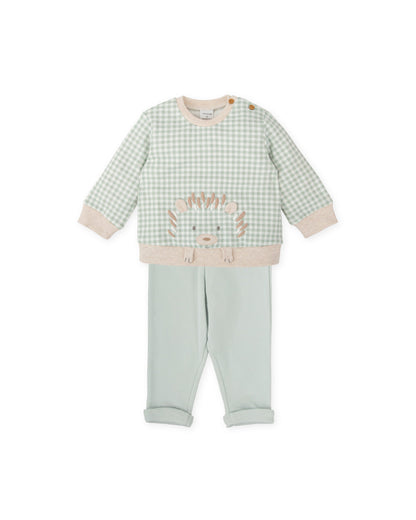 Green Gingham Baby Outfit Set with Embroidered Hedgehog Detail