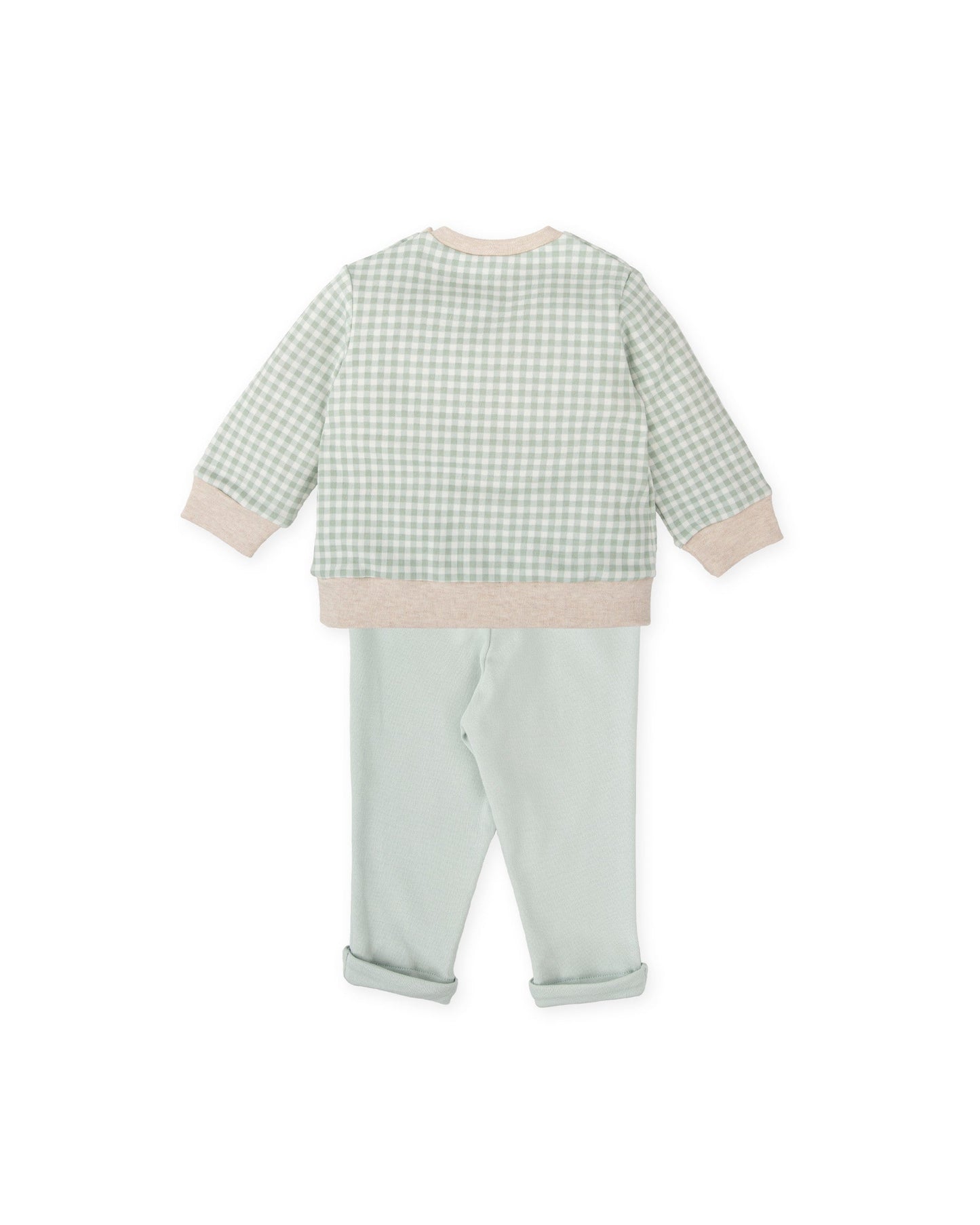 Green Gingham Baby Outfit Set with Embroidered Hedgehog Detail