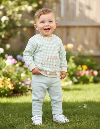 Green Gingham Baby Outfit Set with Embroidered Hedgehog Detail